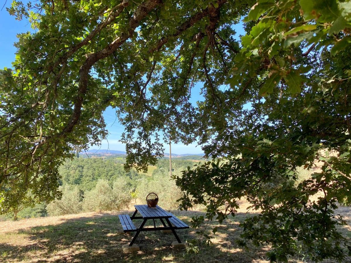 La Casina Della Quercia, Your Tuscan Oak Tree House Osteria Delle Noci Eksteriør billede